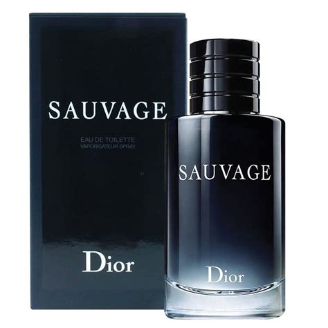 similar fragrance to dior sauvage|dior sauvage chemist warehouse.